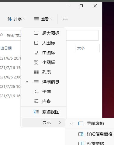 Win11怎么显示隐藏的文件？Win11显示隐藏文件的策略